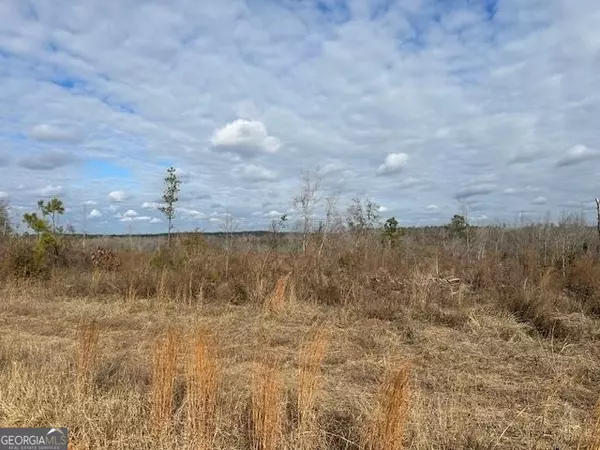 Tennille, GA 31089,3000 Hazard RD