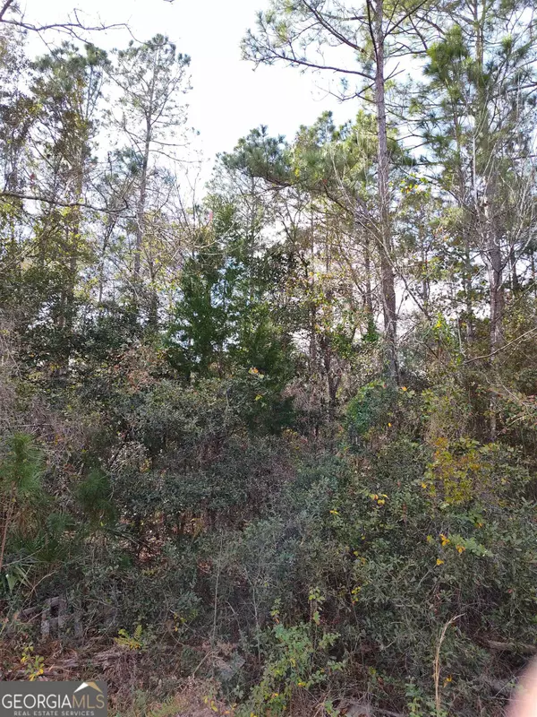 Folkston, GA 31537,LOT # 26 George Bell