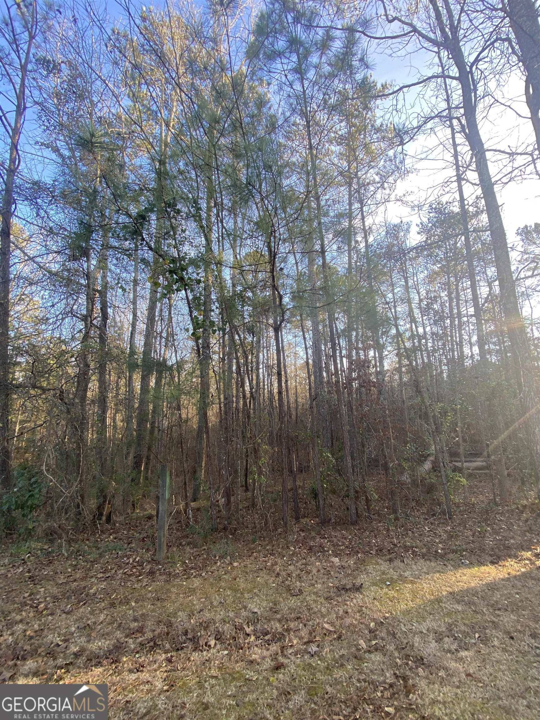 1194 Wellbrook PL, Conyers, GA 30012