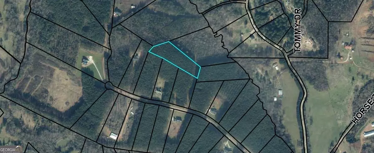 Martin, GA 30557,0 Commonwealth DR