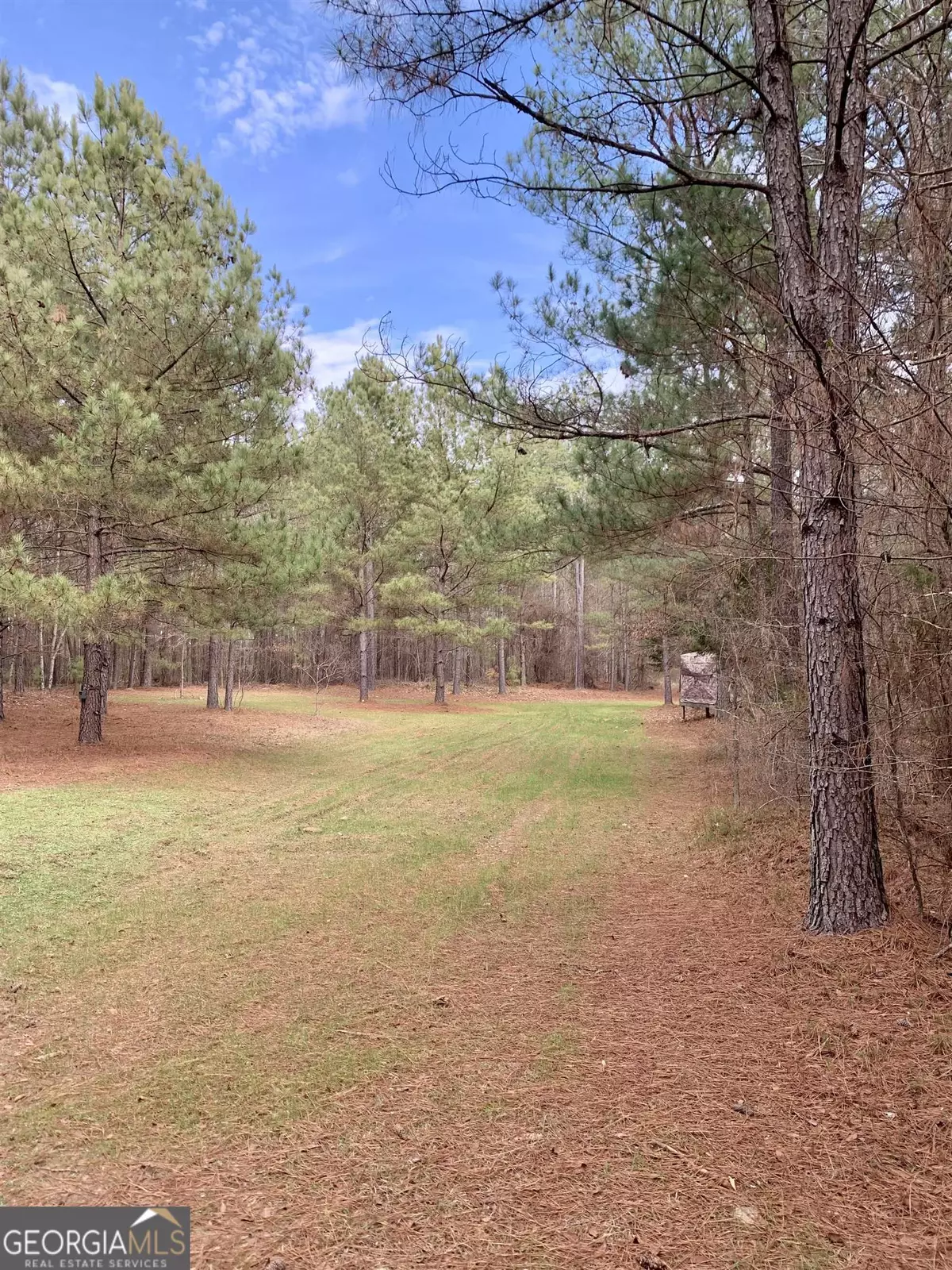 Carlton, GA 30627,0 Eades