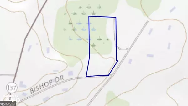 Butler, GA 31006,0 Georgia RD #TRACT A