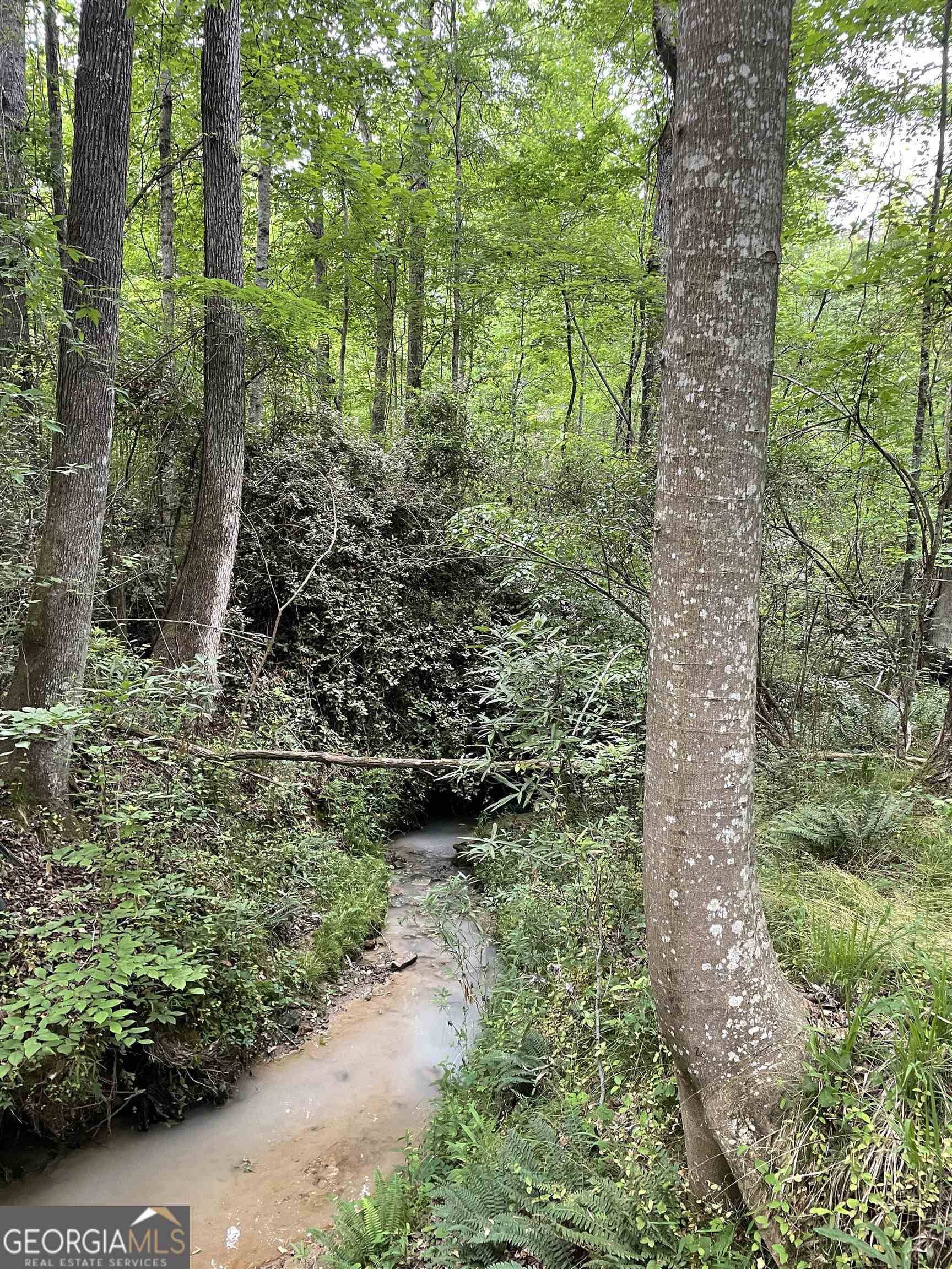 Elberton, GA 30635,0 Brewers Bridge RD