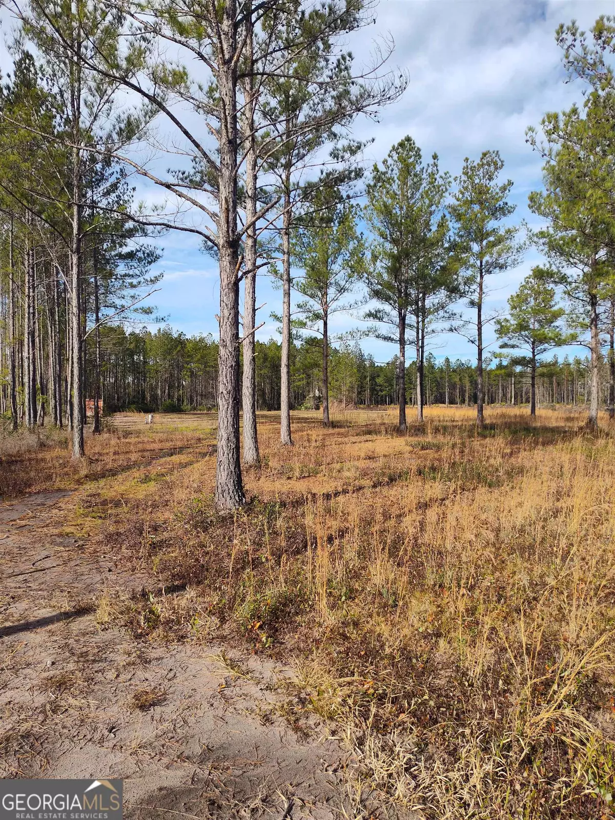 Folkston, GA 31537,219 Bright Leaf