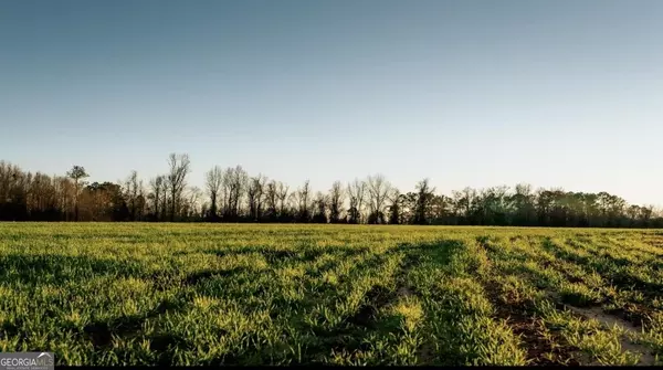 0 Macedonia Church RD, Hawkinsville, GA 31036