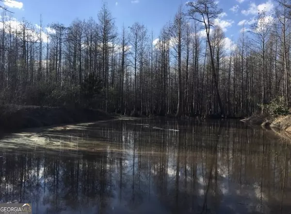 Hawkinsville, GA 31036,0 Macedonia Church RD