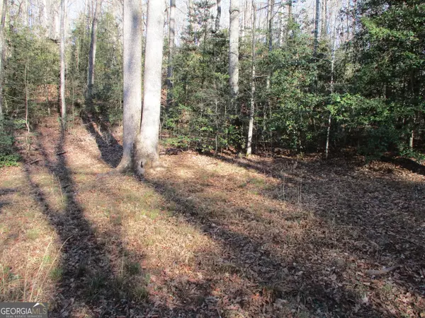 Clarkesville, GA 30523,LOT 6 Meadow View