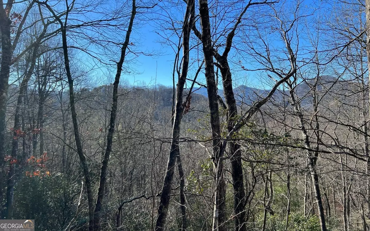 Hiawassee, GA 30546,LOT 33 Fodder Creek Mill Drive