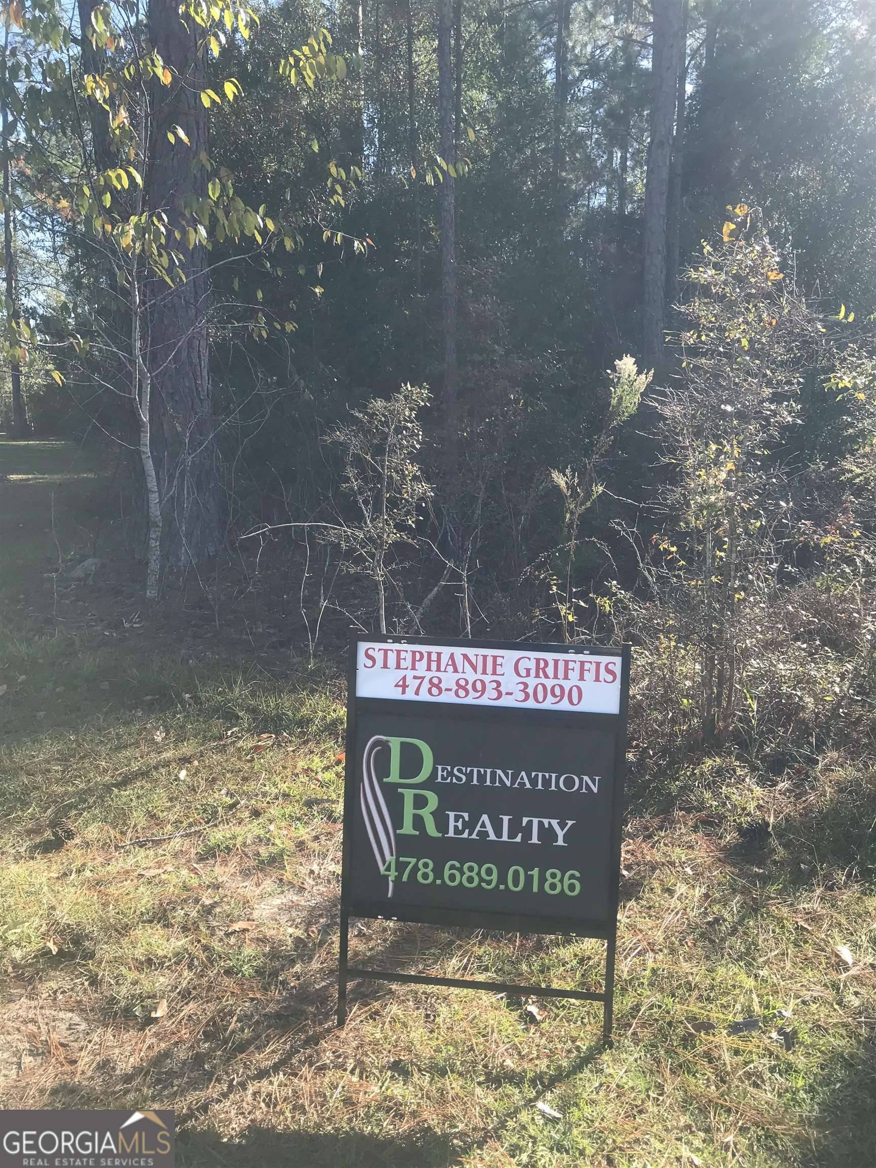 Eastman, GA 31023,0 Eagles Nest CIR