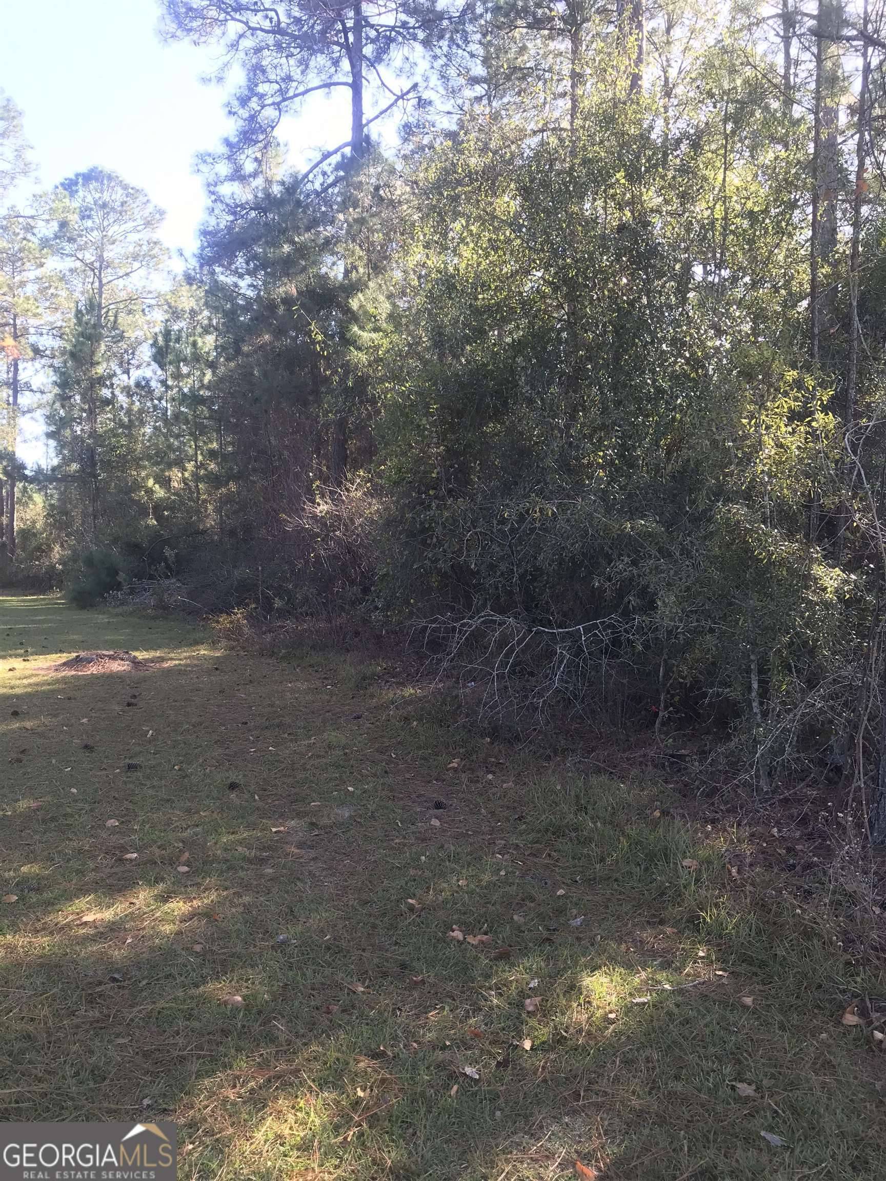 Eastman, GA 31023,0 Eagles Nest CIR