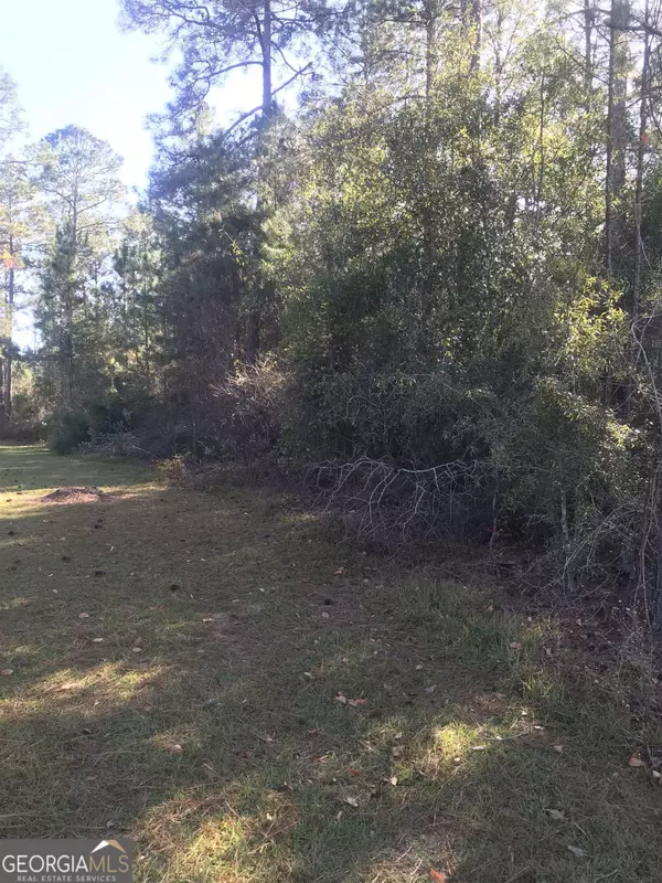 Eastman, GA 31023,0 Eagles Nest CIR