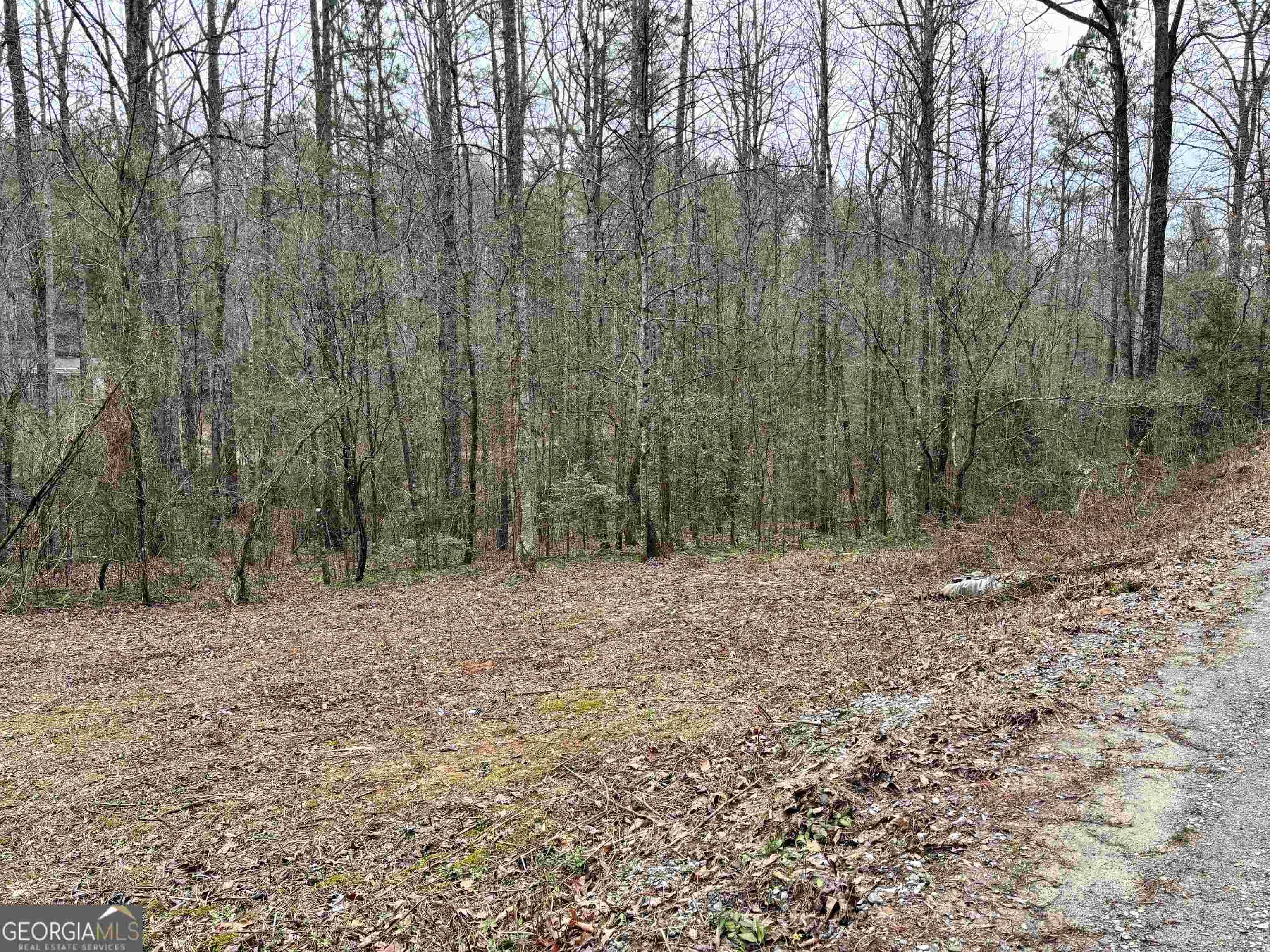 Ellijay, GA 30540,458 Charlottes Web DR