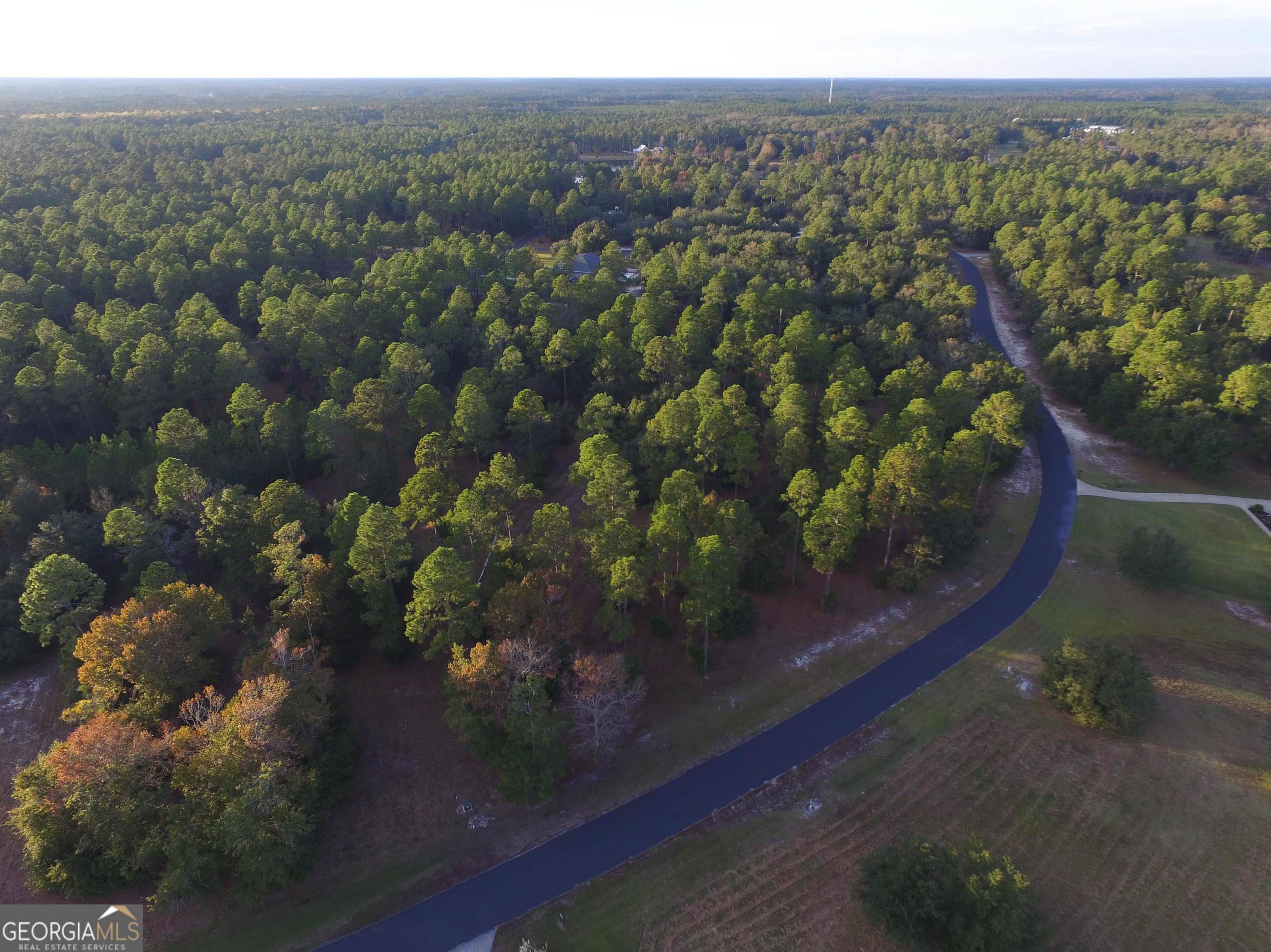 Townsend, GA 31331,0 Coopers Point DR #LOT 71