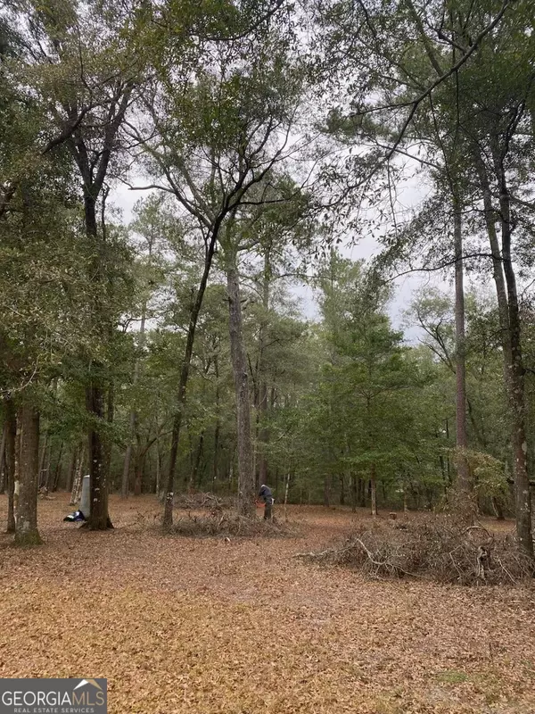 Rincon, GA 31326,1199 Chimney RD