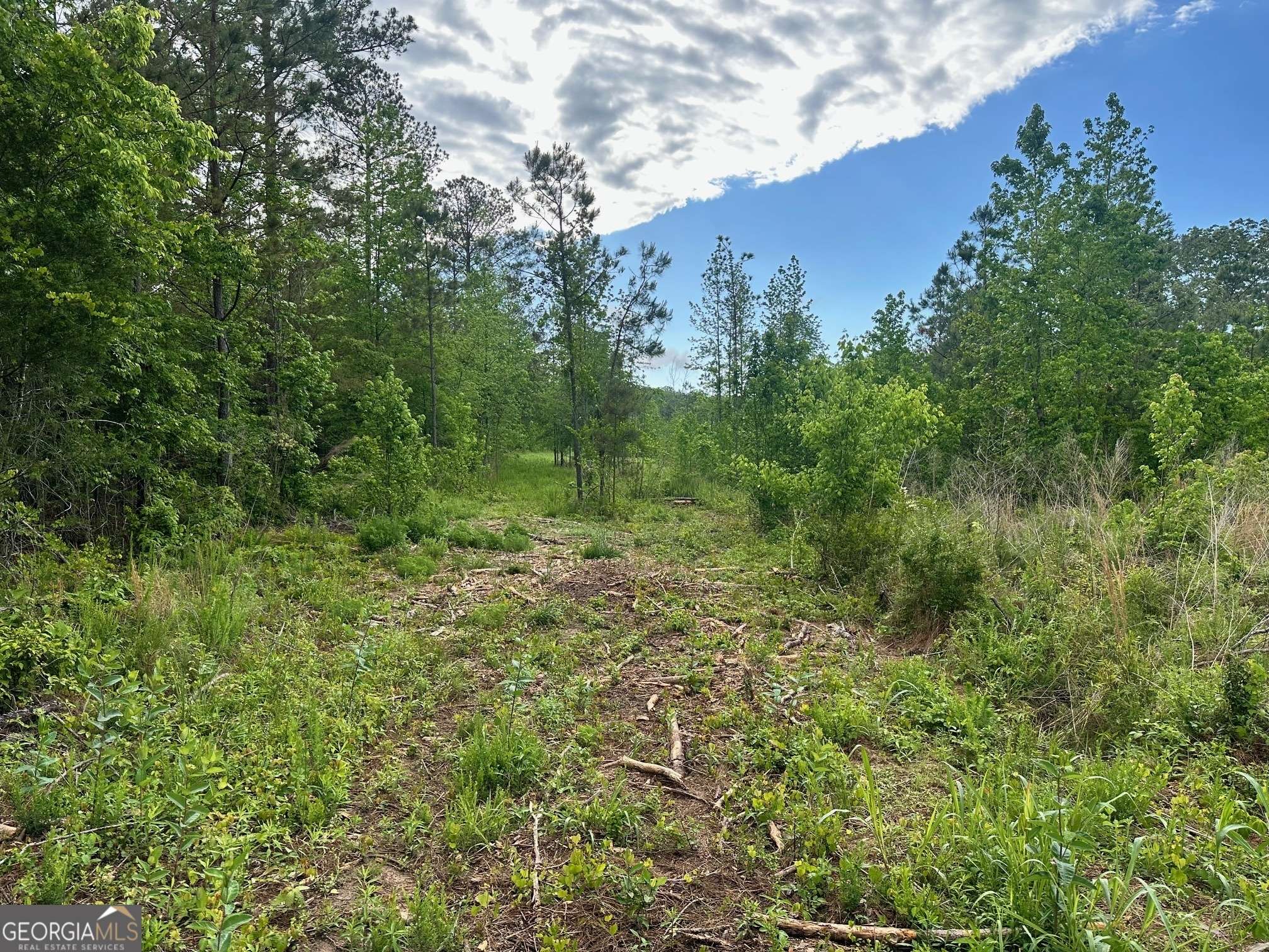 0 Satcher RD ##1, Taylorsville, GA 30178