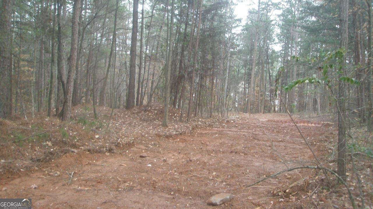 Cumming, GA 30040,3315 Castleberry RD