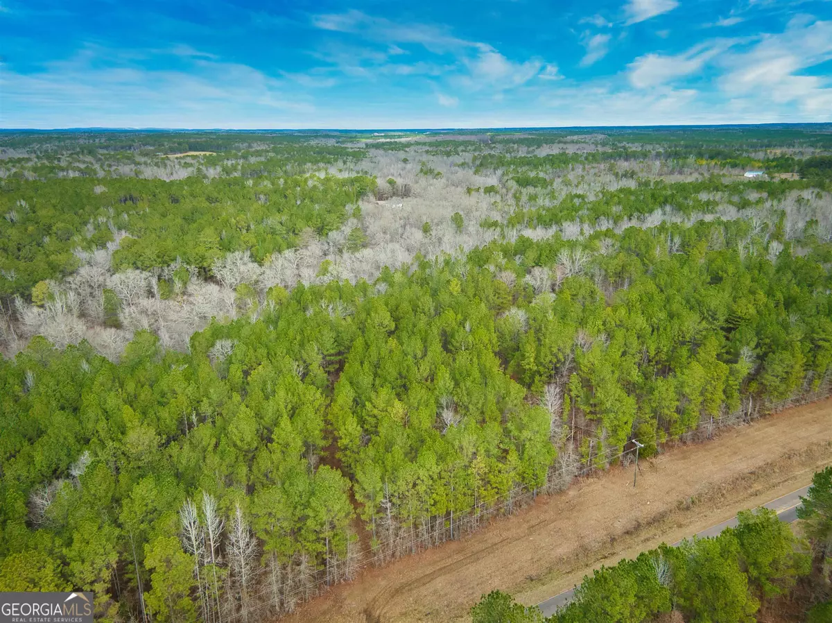 Culloden, GA 31016,0 Us Highway 80 - 10.26 Acre