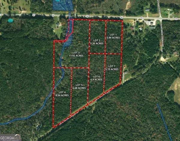 Culloden, GA 31016,0 Us Highway 80 - 11.92 Acres