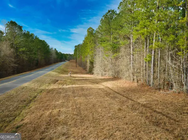 Culloden, GA 31016,0 Us Highway 80 - 15.22 Acres