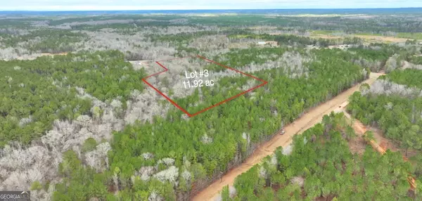 Culloden, GA 31016,0 Us Highway 80 - 15.22 Acres