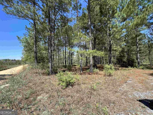 Dublin, GA 31021,1620 Mayberry RD