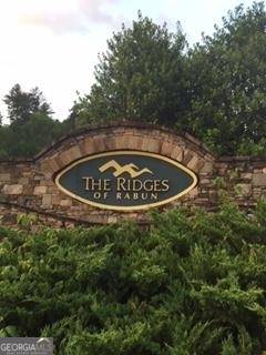 Rabun Gap, GA 30568,LOT 205 Shake Hollow DR #LOT 205