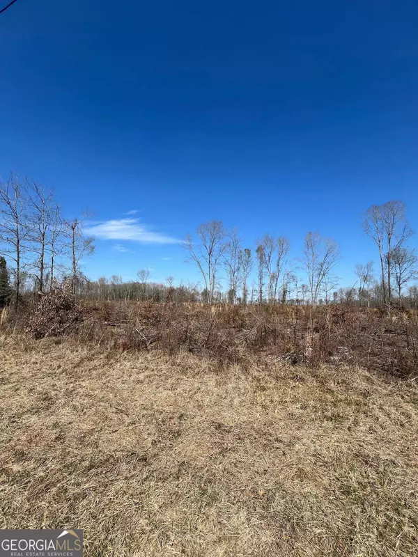 Warthen, GA 31094,8316 S. Sparta Davisboro RD