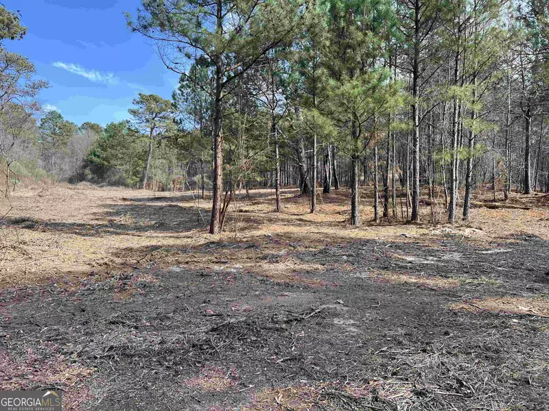 LOT 1 Guthrie Cemetery, Loganville, GA 30052