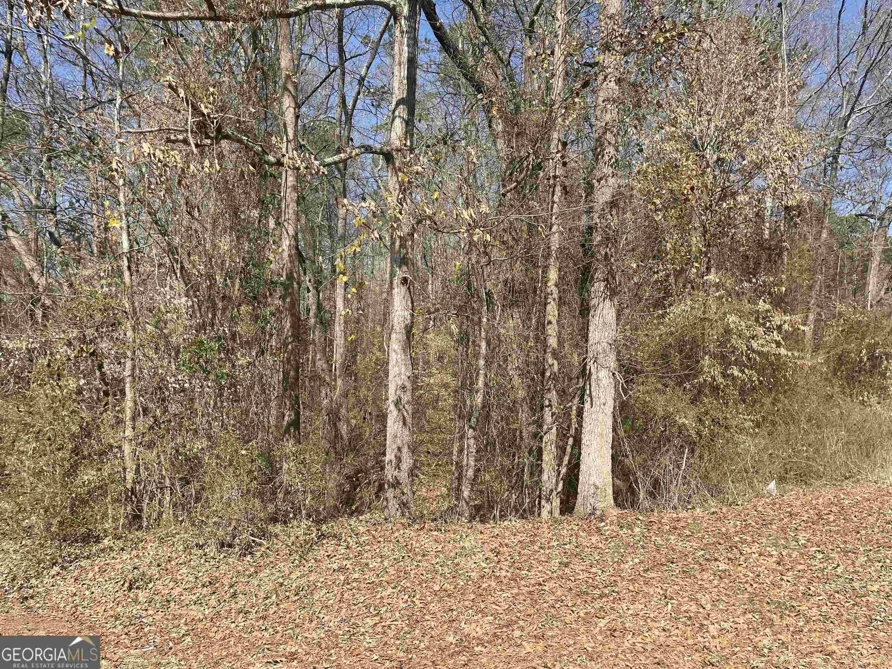 Lavonia, GA 30553,0 Stillwater RD