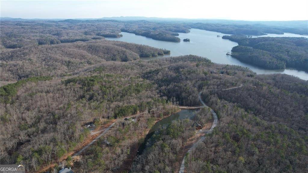Ellijay, GA 30540,208 Lake Forest DR #LOT 51