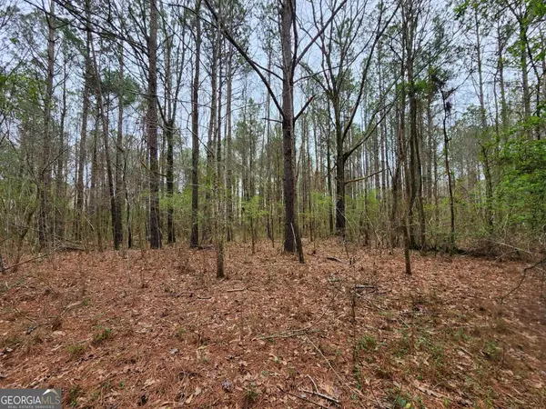 Thomaston, GA 30286,LOT 7 Smith Road