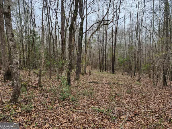 Thomaston, GA 30286,LOT 19 Smith Road