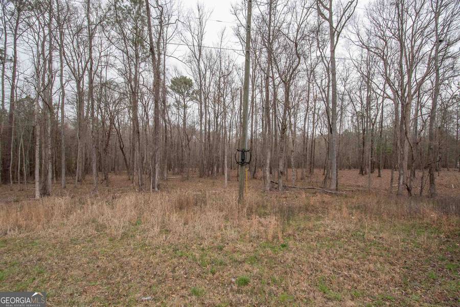 0 Hollonville RD, Williamson, GA 30292