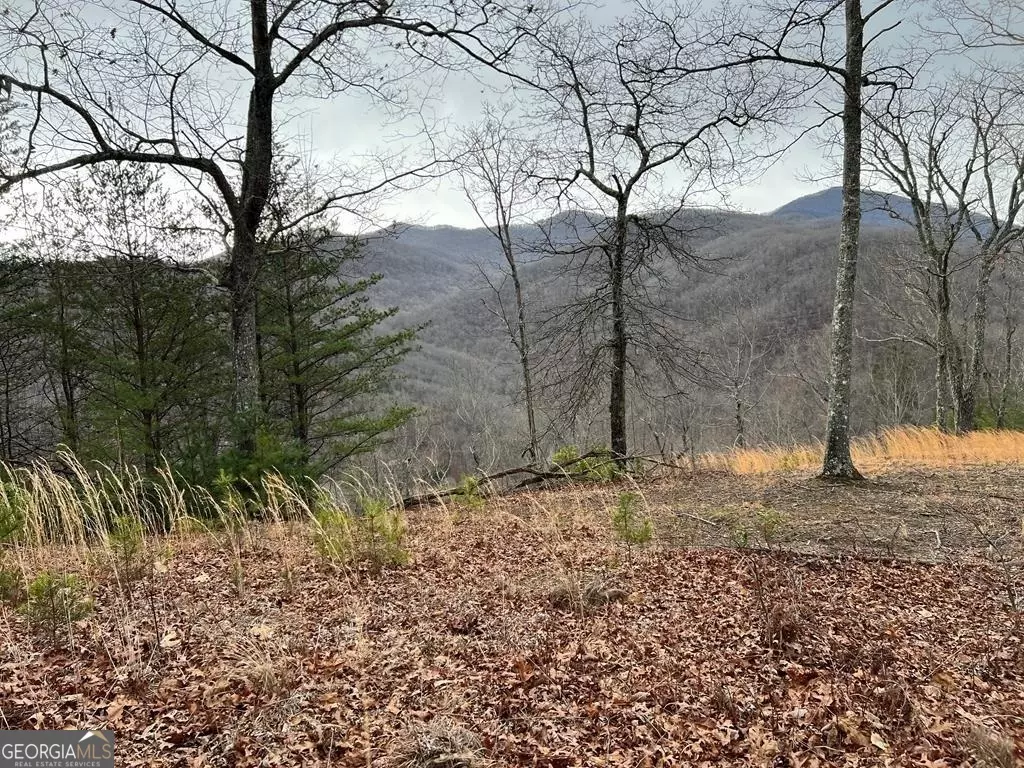 Hayesville, NC 28904,LOT 137 Shiloh Ridge