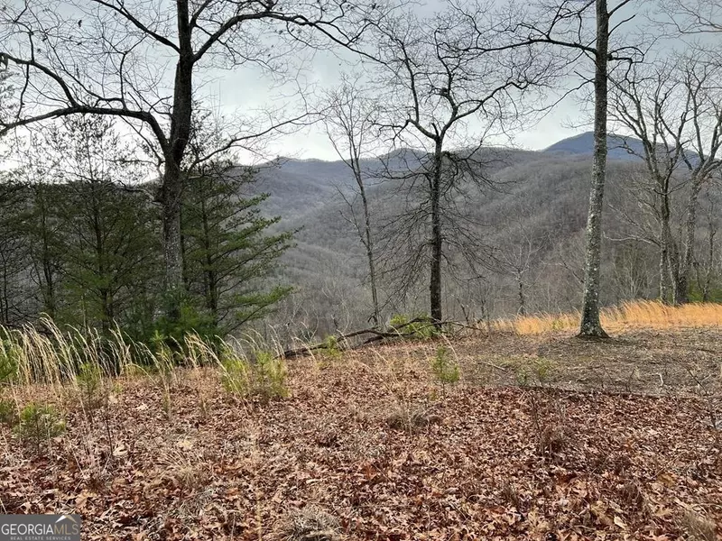 LOT 137 Shiloh Ridge, Hayesville, NC 28904