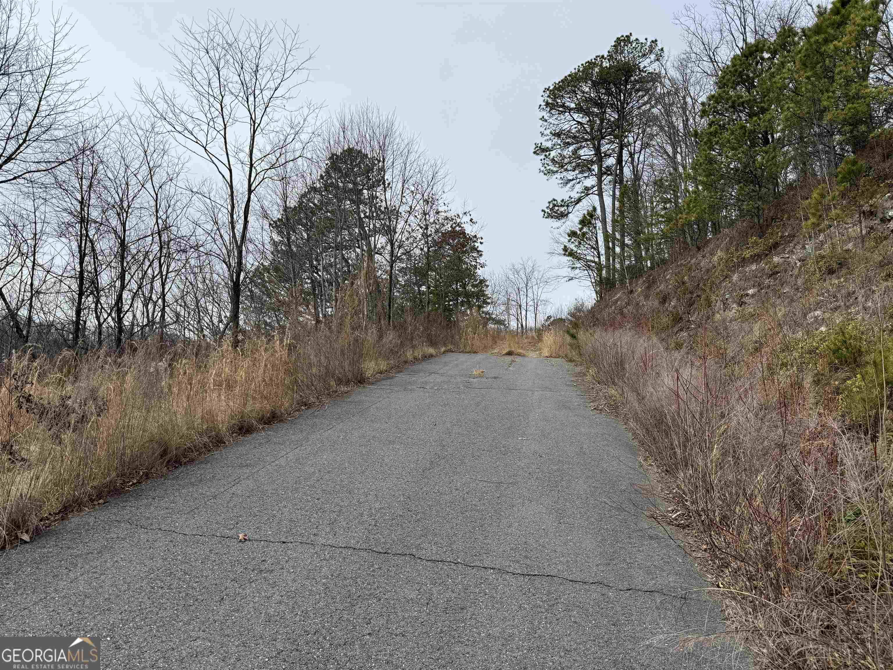 Hiawassee, GA 30546,LOT 22 Hightower Ridge Drive #LOT 22
