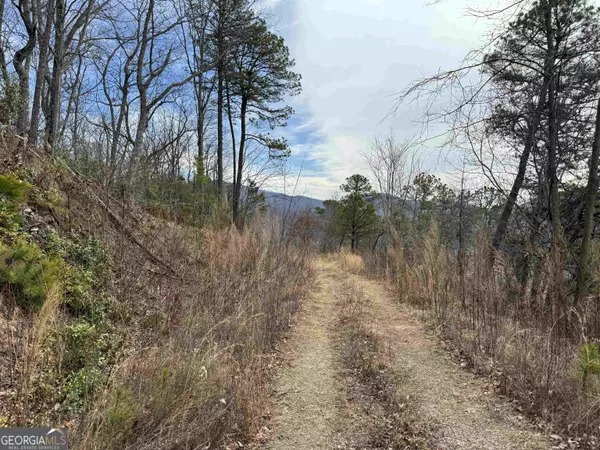 Hiawassee, GA 30546,LOT 23 Hightower Ridge Drive