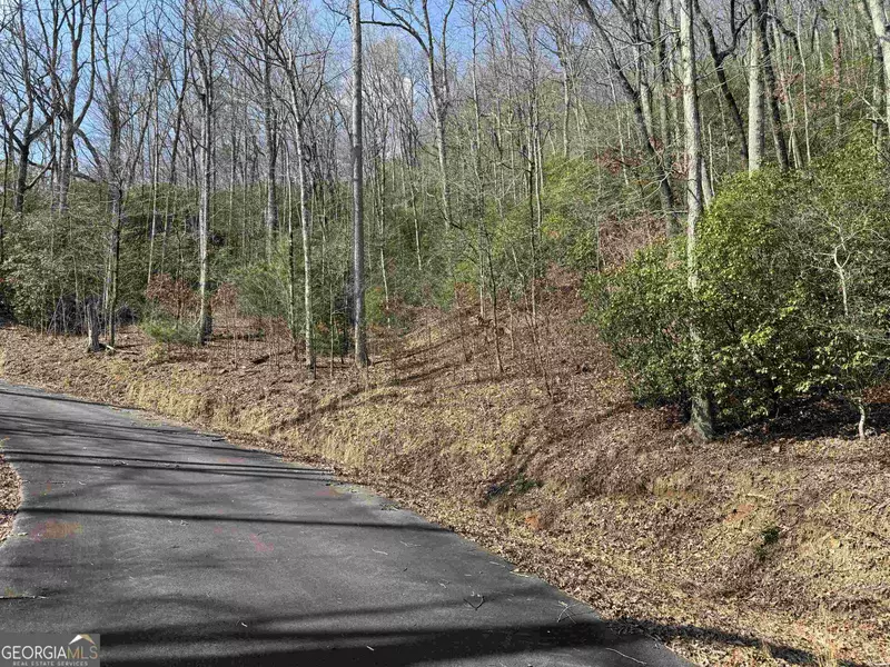 LOT 24 Hightower Ridge Drive, Hiawassee, GA 30546