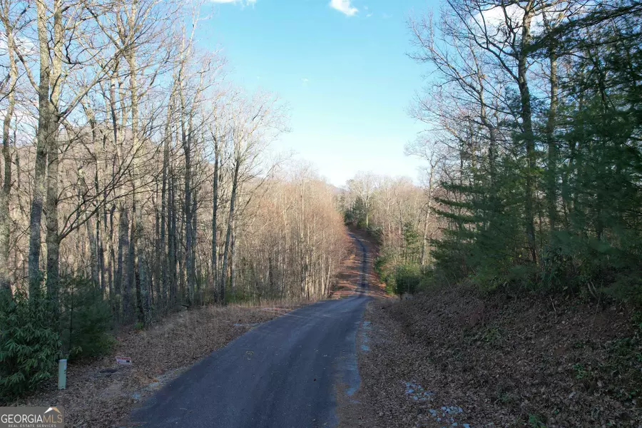 LOT 10 Shake Hollow Drive #LOT 10, Rabun Gap, GA 30568