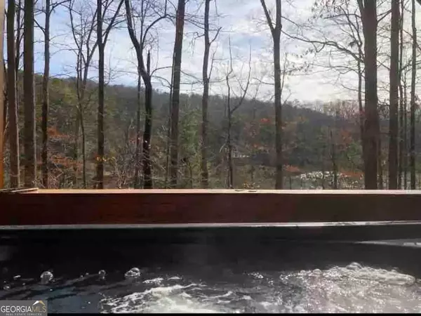 Cherry Log, GA 30522,1069 Maggie Chapman RD