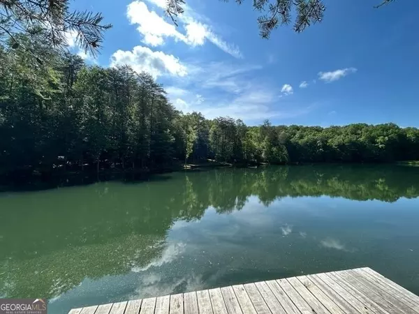 Cherry Log, GA 30522,1069 Maggie Chapman RD