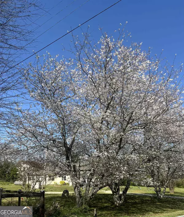 Buckhead, GA 30625,1031 Shakerag RD