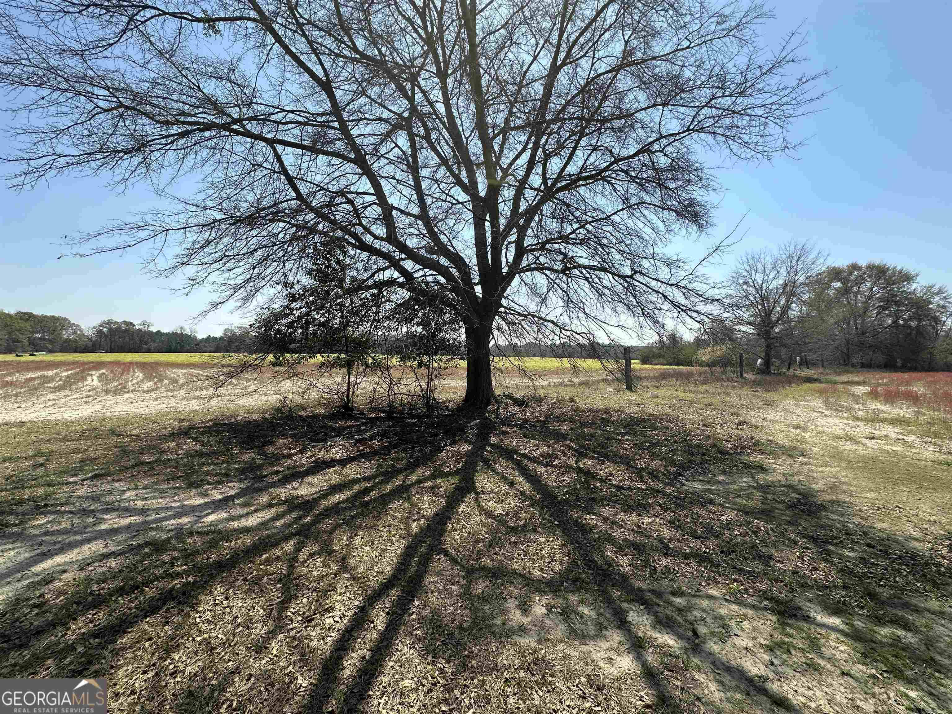 0 Seaborn Vickery & Akins Pond Roads #TRACT 4, Statesboro, GA 30461