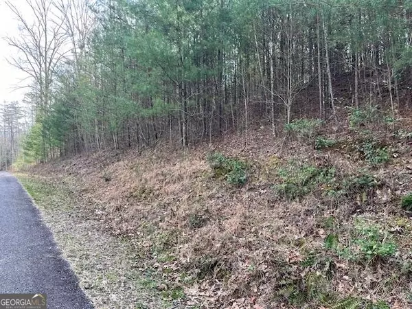 Blairsville, GA 30512,LOT 10 Lower Fox Trail