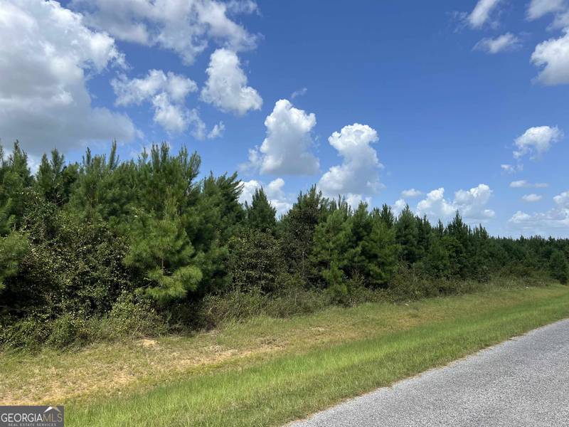 LOT 1 Whitfield, Elko, GA 31025