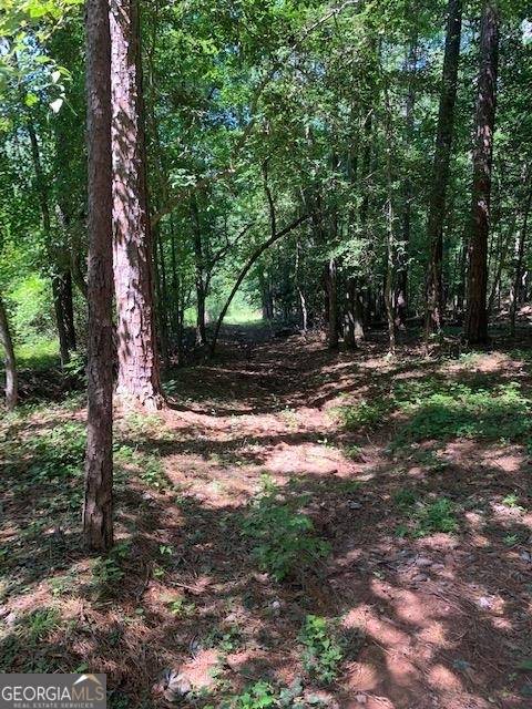 Lagrange, GA 30241,118 Sunny Point CIR