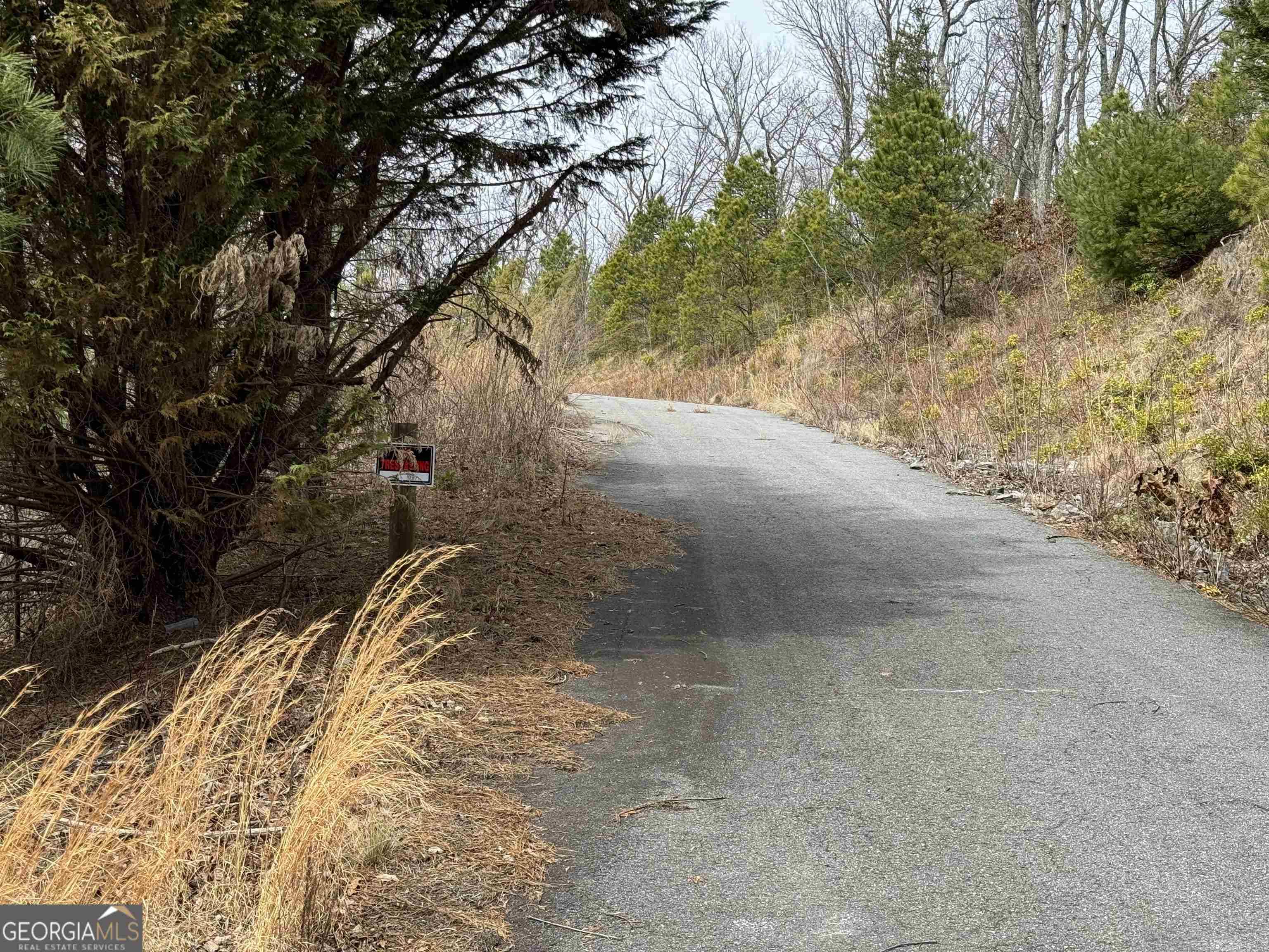 Hiawassee, GA 30546,0 Hightower Ridge Drive