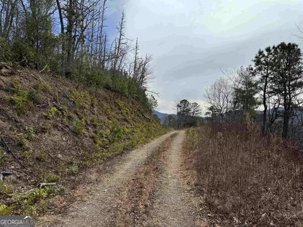 Hiawassee, GA 30546,0 Hightower Ridge Drive