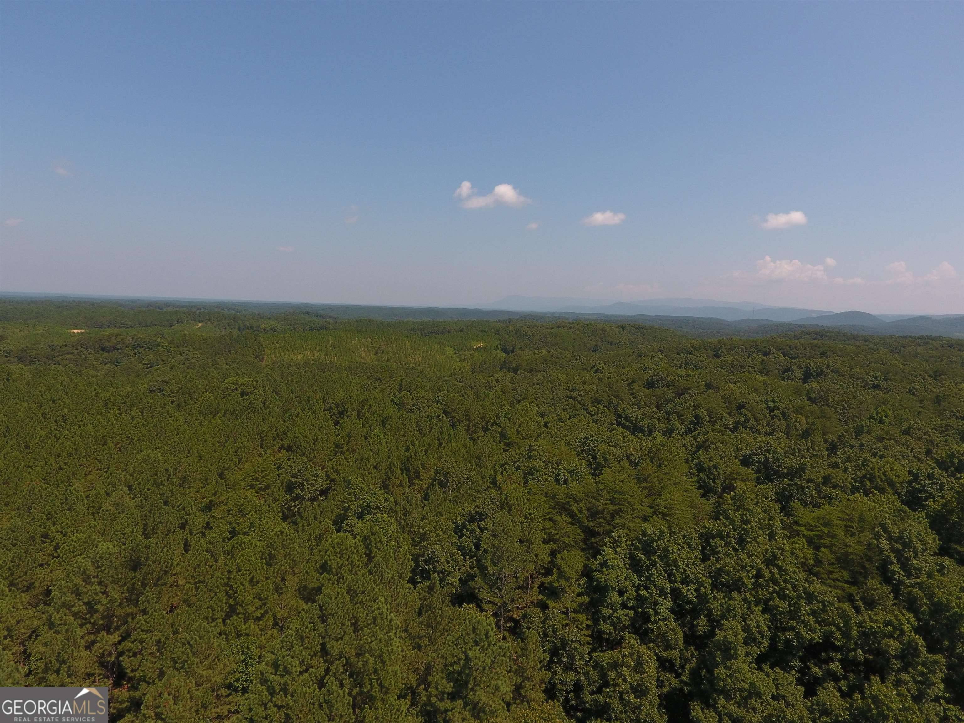 Ranger, GA 30734,0 Hightower LOOP NE #9628-D