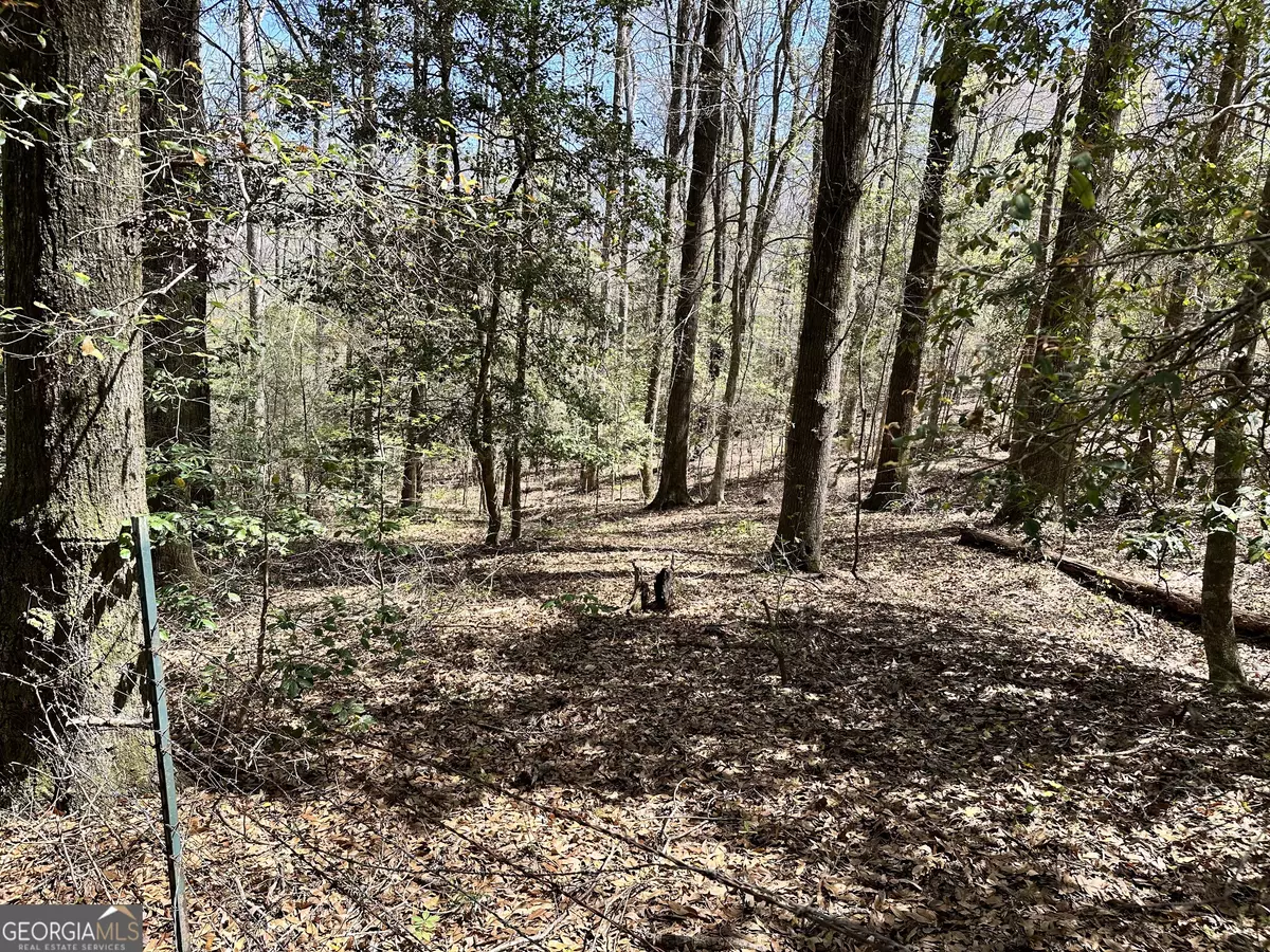 Danville, GA 31017,0 Turkey Creek RD